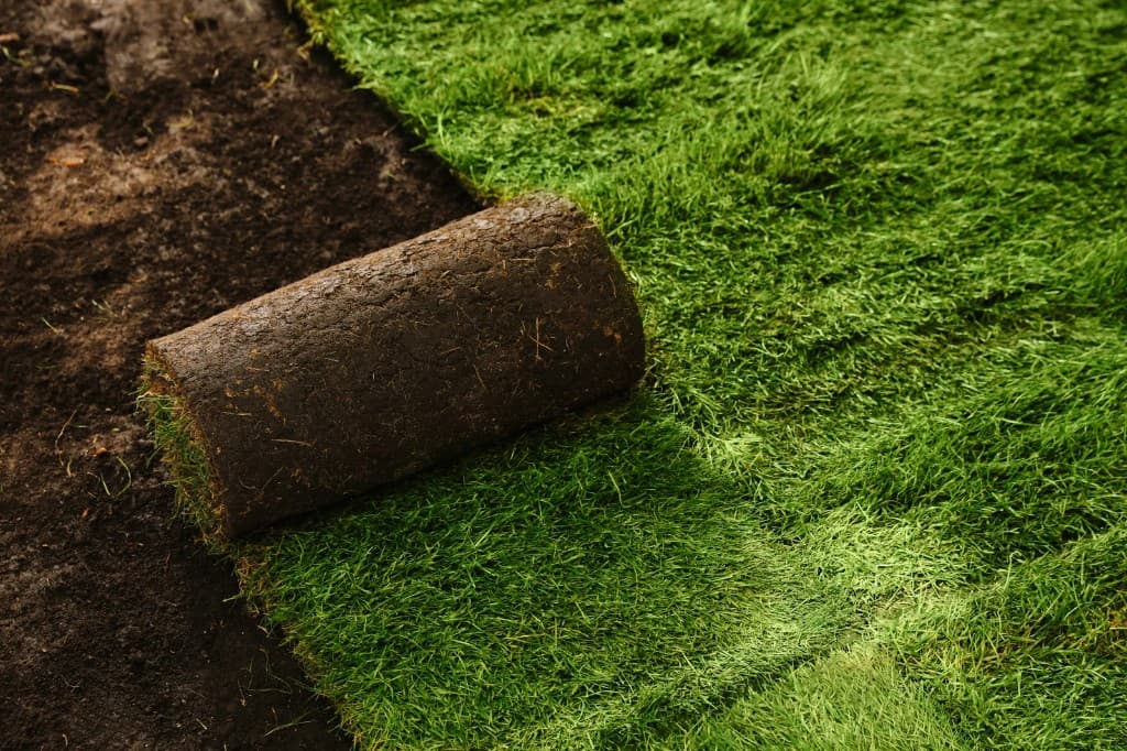 Roll of fresh sod being laid over prepared soil